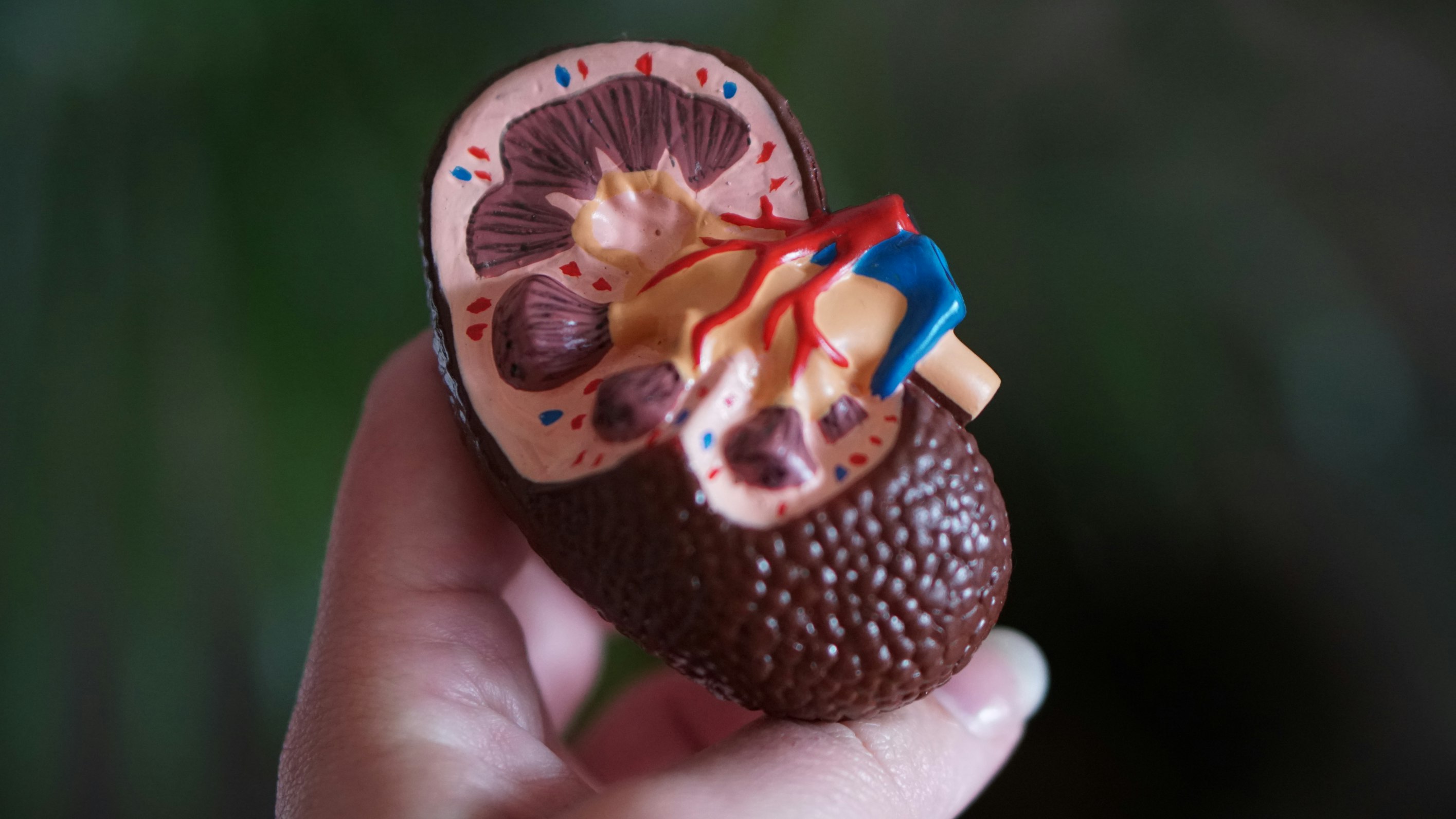 Urology